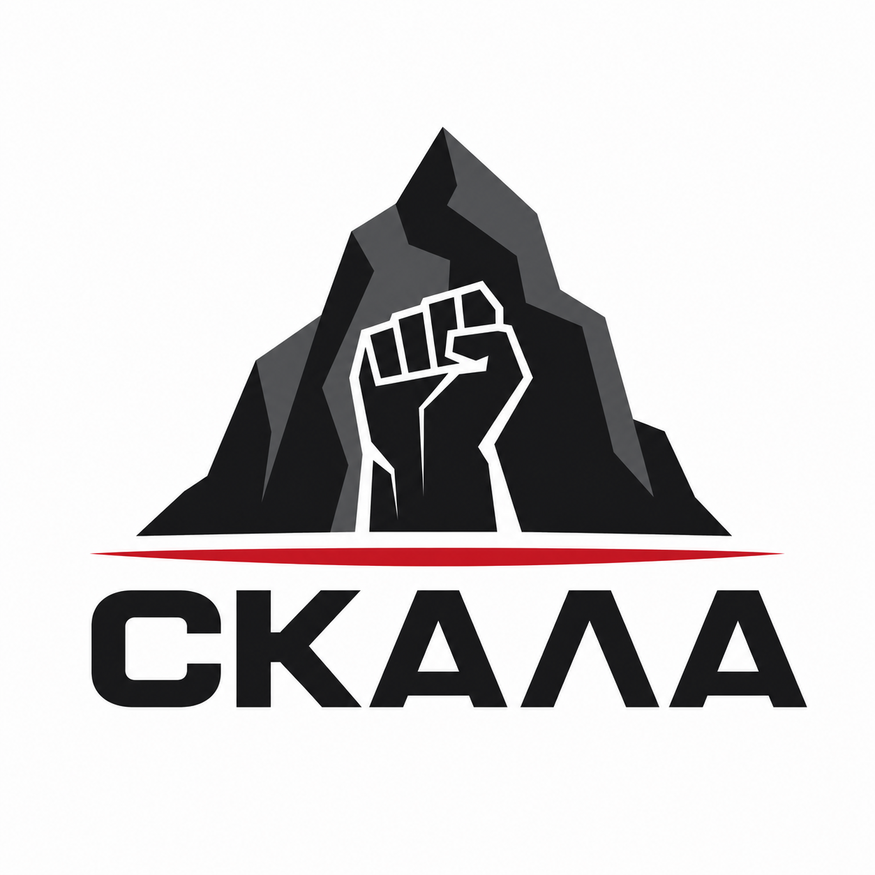 единоборства для детей и подростков Молодёжный центр борьбы и ОФП "Скала"